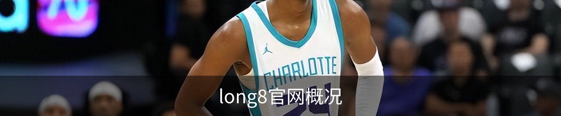 long8官网概况